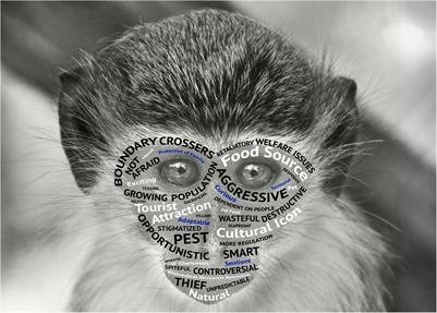 Understanding Community Perceptions of the St. Kitts’ “Monkey Problem” by Adapting Harm Reduction Concepts and Methods